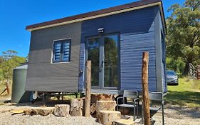Tiny Home - Bluebird